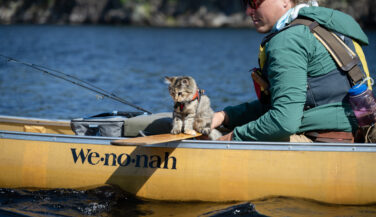 A kitten in a canoe stares over the end of a paddle into the water.